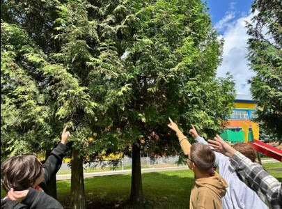Бер. Роща, 1– 9 Июля, Секретные Агенты