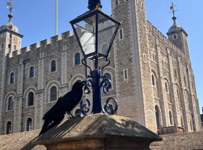 Лондон, UK, 28Июл–2Авг
