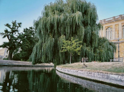 Кембридж, UK, 3 – 15 Авг